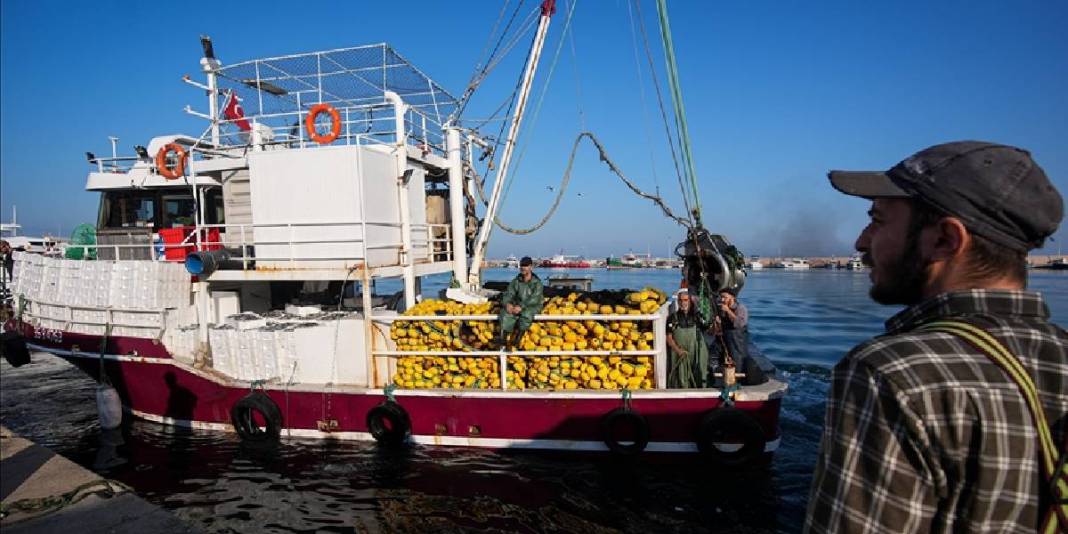 İşçi sorunu denizleri de vurdu! 80.000 TL’ye yine de çalışmıyorlar: Futbolcu misali transfer oluyorlar 2